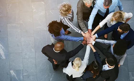 Building an Inclusive Organization
