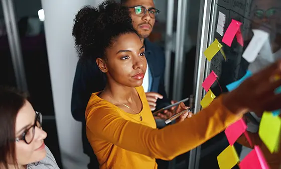 PM Skills®: Change Management