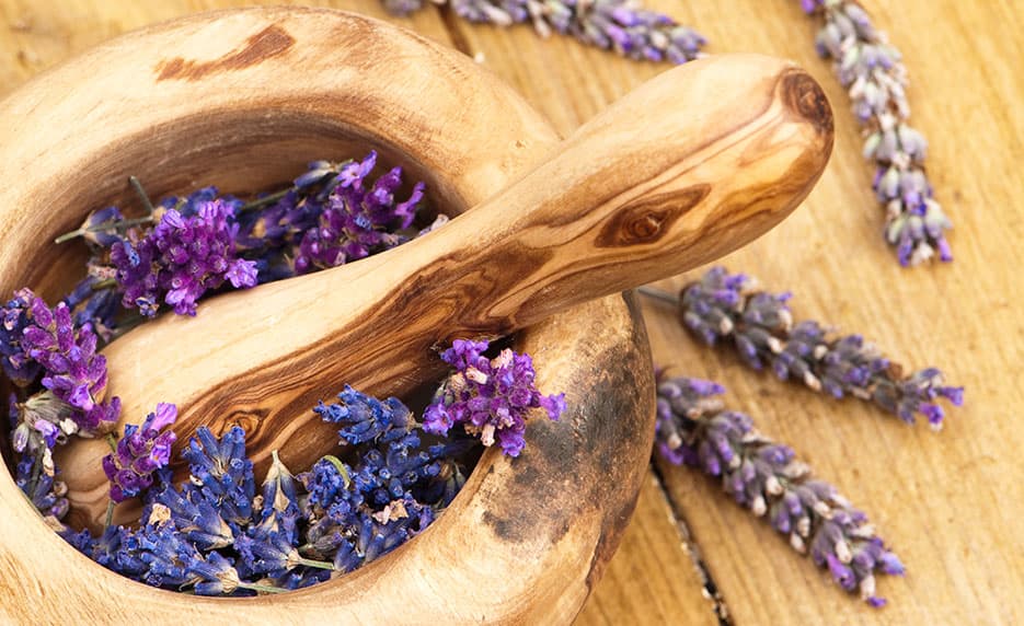 Certificate in Holistic and Integrative Health: Foundations 2