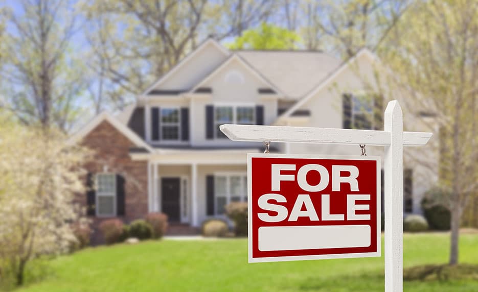 Real Estate Suite