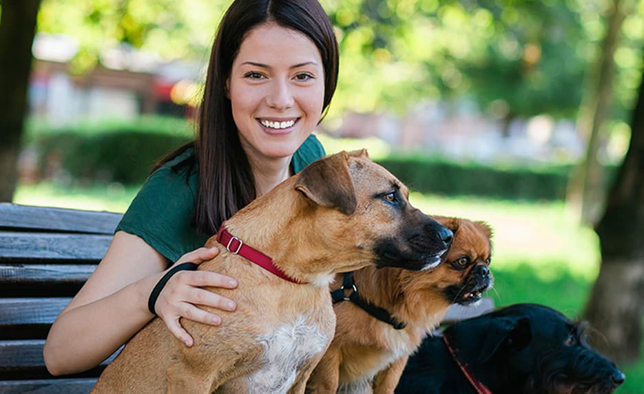 Start a Pet Sitting Business