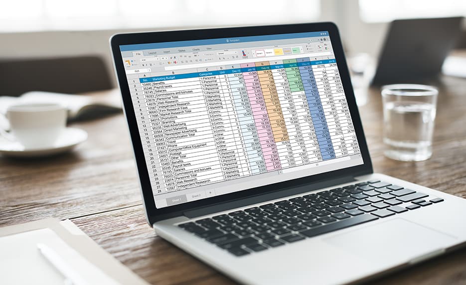 Microsoft Excel - Pivot Tables