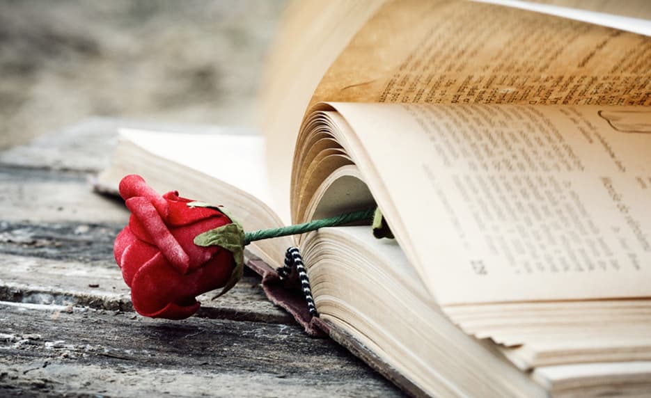 Romance Writing
