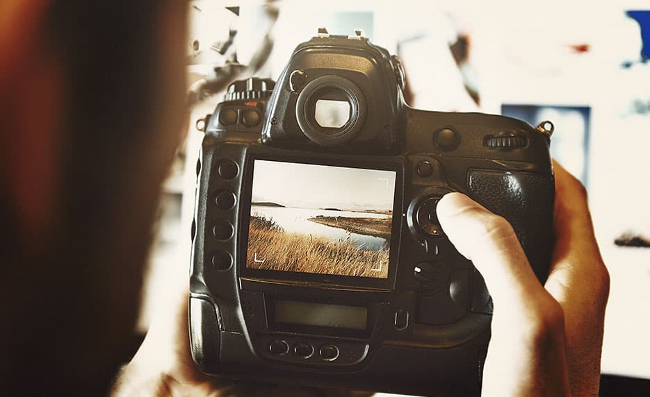 Mastering Your Digital SLR or Mirrorless Camera
