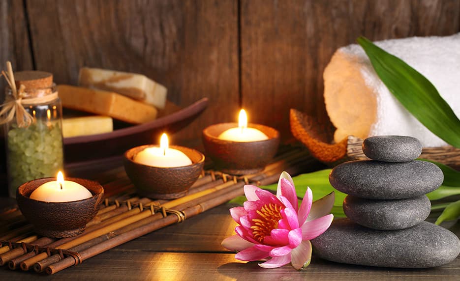 Certificate in Wellness and the Environment