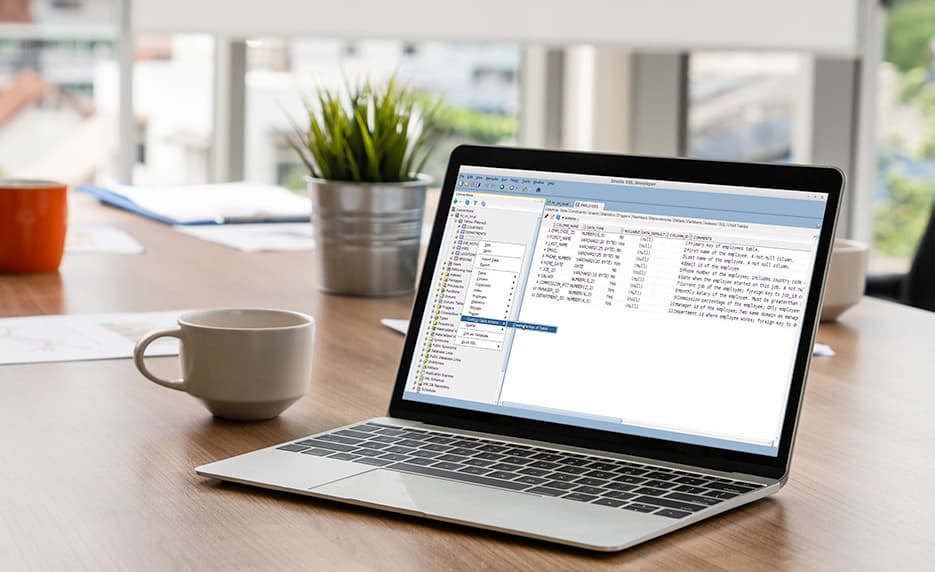 Oracle SQL Training
