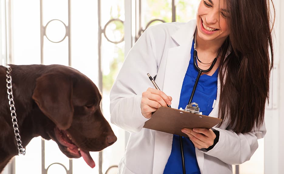 Veterinary Medical Terminology