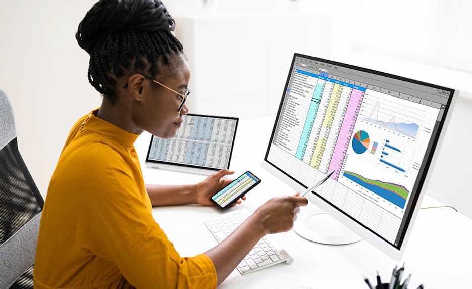 Microsoft Excel and Access 2019 Suite