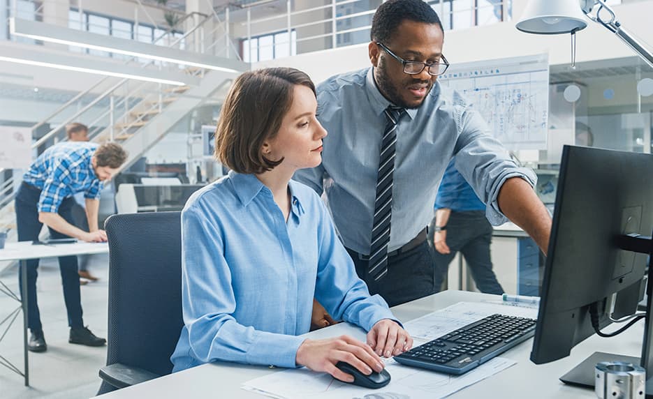 Microsoft Excel and Project 2019 Suite