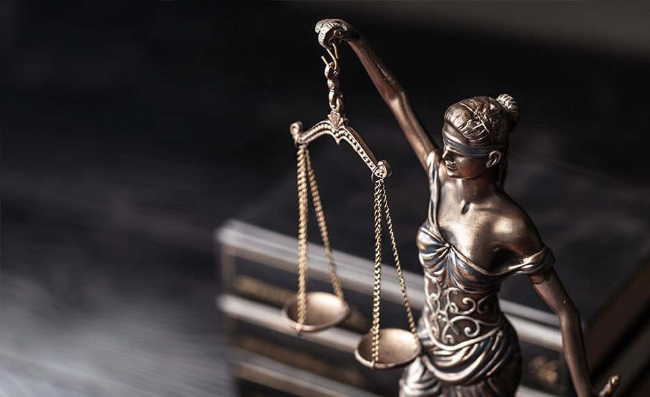 Constitutional Law