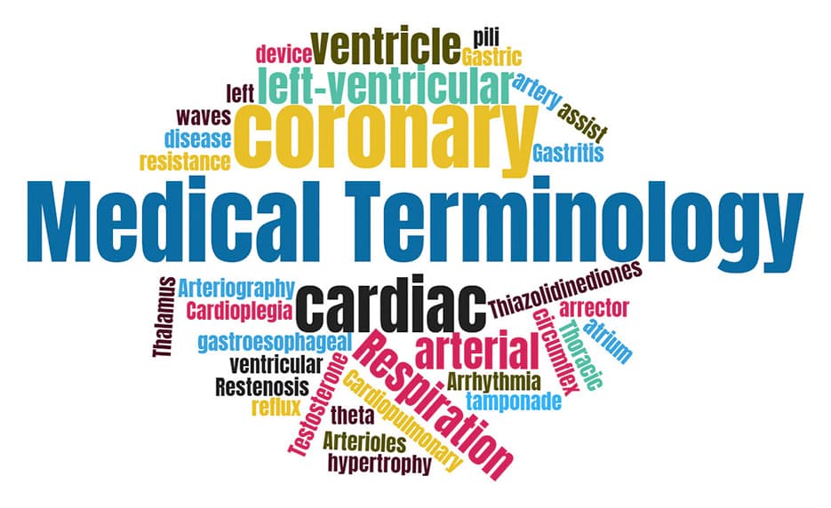 Medical Terminology Series